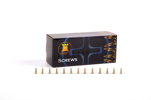 [F-LS1016SFH] CASTLE LOOSE SCREW - 10Ga. (20) 16mm Self Drill Flat YZ 1000PCS With 25mm Drill Bit